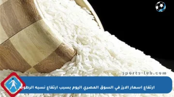 ارتفاع أسعار الأرز في السوق المصري اليوم بسبب ارتفاع نسبة الرطوبة